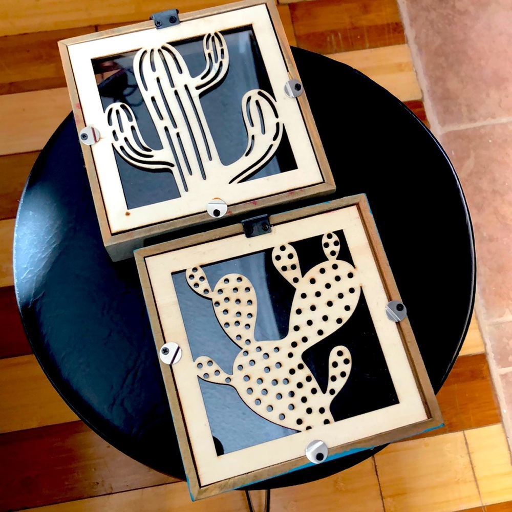 Two Decorative Cactus Frames